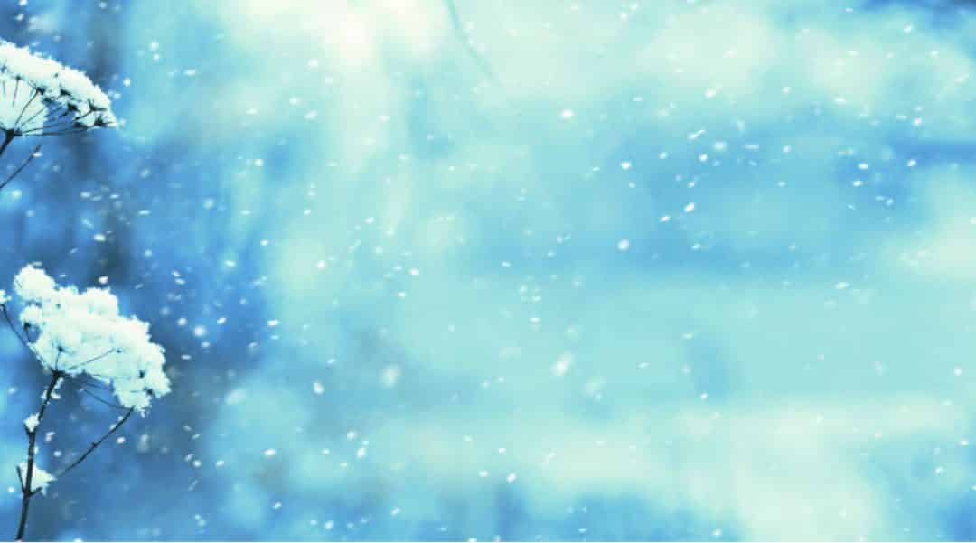 Les différentes technologies de cryolipolyse, avis d’experts
